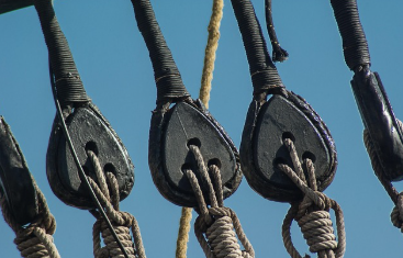 Expert vessel inspection